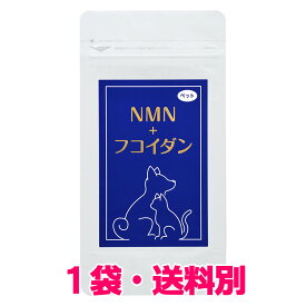 ペット NMN＋フコイダン (31粒) ナノ型乳酸菌 クロレラ アスタキサンチン【賞味期限2026年01月末】