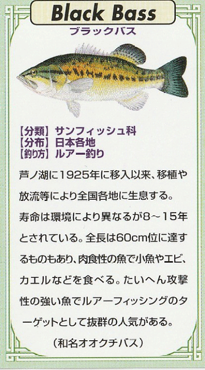 ビンテージ　ピンバッジ ピンズ・ピンバッジ・缶バッジ Sunday 缶バッジ - ショップ