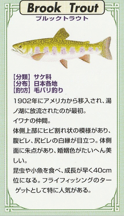 楽天市場】魚ピンズ ヒラメ 鮃 本七宝 ビンテージ フィッシュ