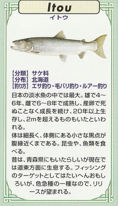 アイアン 飾り蝶番】GALLUP | 530-78 #555P キャビネット ヒンジ