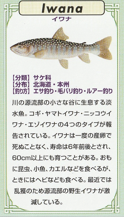 楽天市場】魚ピンズ イワナ 岩魚 本七宝 ビンテージ フィッシュ 楽天市場】魚ピンズ イワナ 岩魚 本七宝 ビンテージ フィッシュ