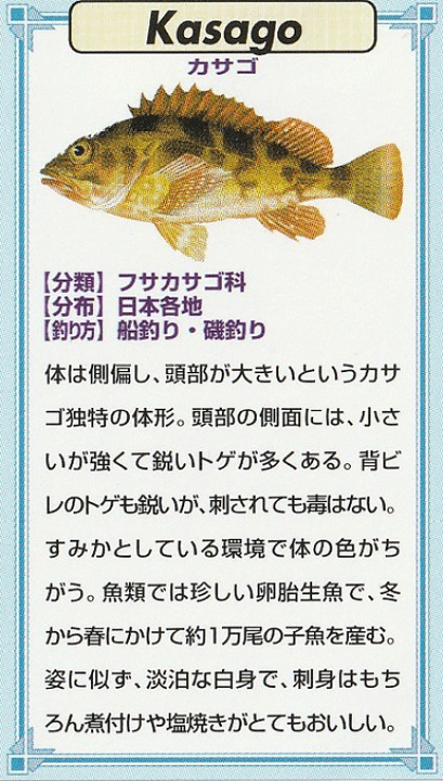 楽天市場】魚ピンズ カサゴ 笠子 本七宝 ビンテージ フィッシュ