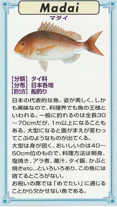 楽天市場】魚ピンズ マダイ 真鯛 本七宝 ビンテージ フィッシュ