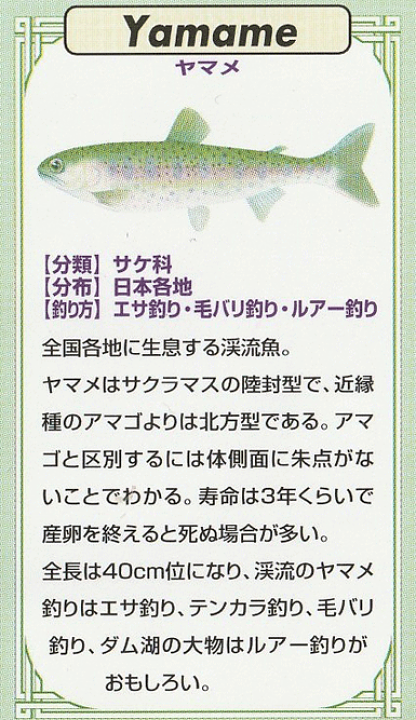 旅情あふれる島ハイク「東京11島ホッピング スタンプラリー