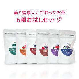 ハーブティできれいになりませんか　健康＆美容ハーブティー6種お試しセット（ティーパック5包×6種類） モリンガ バナバ ハイビスカス ローズヒップ ルイボス ハーブティー ブレンドティー