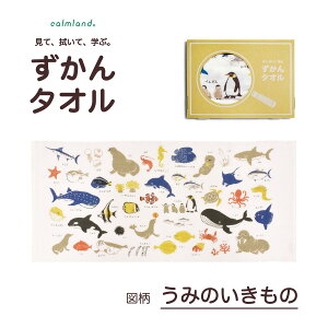  @ w m ^I u ^I v ~joX^I v[ LbY J[h { G{ } ɂȂ Ԃ q p  敨  ʕ   َq ̖