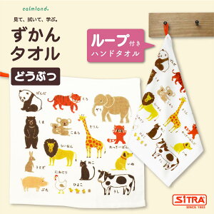 [v^I u [vt ^I v J[h { Ԃ q p  敨  C̐ ʕ  } G{ ̊wKR~jP[V  v[g  lC 