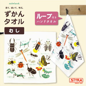 [v^I u [vt ^I v J[h { Ԃ q p  敨  C̐ ʕ  } G{ ̊wKR~jP[V  v[g  lC 