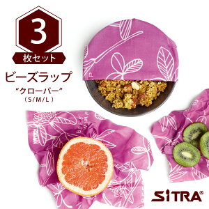 Ki ݂낤bv Zbg 3g S,M,L r[Ybv (N[o[) r[ GRbv ɂ ThCb` ؂  ɕ GRӎ̍ v[g Mtg  SiTRA 