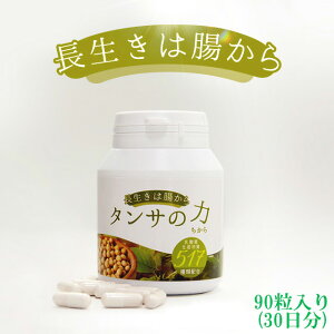 yP5{zyzy^T̗́i`Jj 517zgvVoCIeBNXTv 90 30 Zb_@_ _ېY 517 Tvg |_ _ vsI_ ̓ 