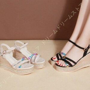 T_ fB[X ₷   EFbW\[ r[`T_  RtH[gT_ Xgbv T{T_  Ȃ r