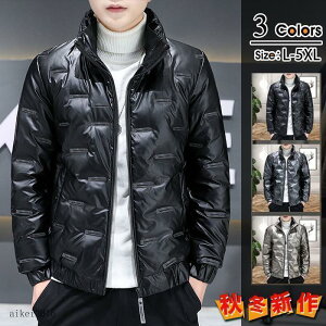 _EWPbg ~ Y WPbg h h Cg_E AE^[h ȃR[g h_E