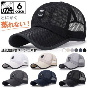 bVLbvLbv Xq Y fB[X 싅X  ʋC St n Vv t 悯