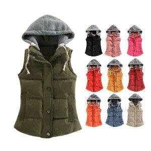 _ExXg fB[X  _E 2023 _ER[g R[g ȃR[g t[ht ʋ   h H~   g