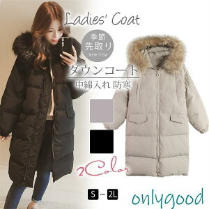 _ER[g fB[X t[ht _E AE^[  OR[g H ~ t@[ JWA h ~ ʋ dtwt032