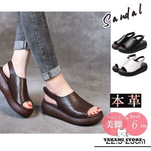 T_ {v _炩 xN fB[X  EFbW EFbW\[ ʋ ₷ V[Y Xgbv  r C RtH[g