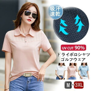 StEFA |Vc fB[X  gbvX t  tVc JWA Vv l  킢 ꂢ  ItBX ʋ