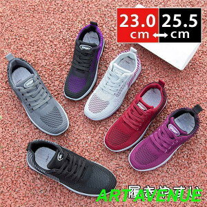 Xj[J[ fB[X EH[LO JWAV[Y WMO bV ʊw ʋ  t H AE^[ ₷ ɂȂ ̓