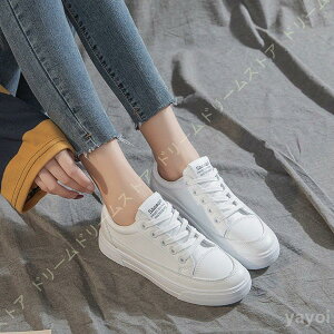 Xj[J[ fB[X Xj[J[  t@bW jOV[Y _XV[Y ^C y ʊw ʋ tďH~ nCLOV[Y