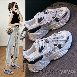 Xj[J[  fB[X  40 30  5cmgUP Ȃ JbvV[Y ؍ ʋΌC JWA y r  t  H ~ V