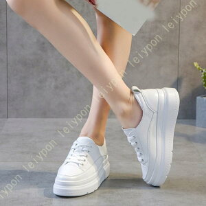 {v Xj[J[ fB[X EH[LOV[Y Xj[J[ C JWA V[NbgV[Y C   y h ʋ ʊw 풅p