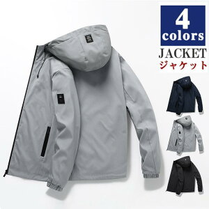 }Eep[J[ Y t[ht CgAE^[  EBhu[J[ u] Wp[ 傫TCY tH 