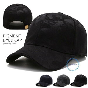 StXq Y  Lbv Xq jp 싅X 悯Xq ΍ ʕ  t ĕ