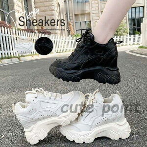 Xj[J[ Cq[  _bhV[Y nCJbg r r fB[X