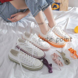 YbNC fB[XV[Y t Xj[J[  tbgV[Y YbN fB[XXj[J[ 40 tbgC C ₷ r ʋ 