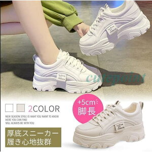 Xj[J[ fB[X _bhXj[J[ Xj[J[  JWA 22.5cm~25.0cm AEghA W[ OV
