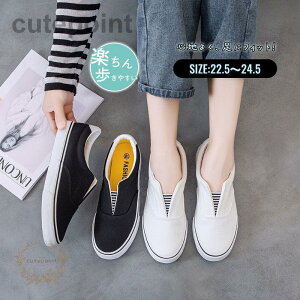 Xj[J[ fB[X t ₷ wlC ʊw ʋ 킢 zf ؂  ҂ݍ y Vv JWA