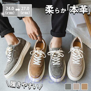 IbNXtH[hV[Y Y JWA ؊v EH[LO C {v Xj[J[ ʊw ʋ  WMO  t H