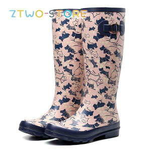 Cu[c CV[Y C fB[X { Sh O LN^[ sN  JC h h o[ ~J  r