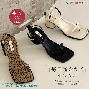 T_ fB[X ׃Xgbv ۃq[ r XgbvT_ ₷ XNGAgD V[Y JWA ɂ l   qE