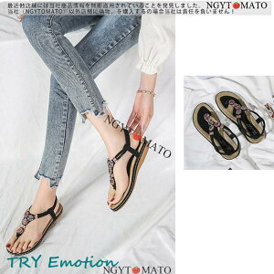 T_ fB[X Xgbv gOT_ tbgT_ {w~A r t[ ₷ JWA ɂ l  