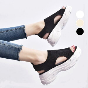 T_ fB[X  bV X|[cT_ ʋC ؍ JWA ₷