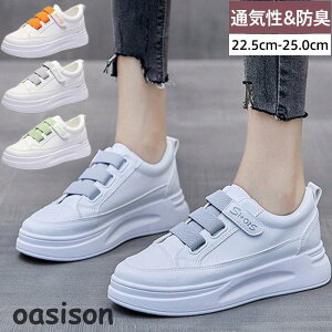 Xj[J[ fB[X  [Jbg Ռz gAbv JWA ~ ₷ 芴  