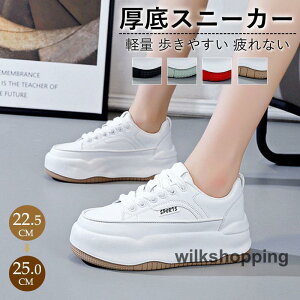 Xj[J[ fB[X X|[cV[Y C V[Y ~ h r r ₷ Ȃ ɂȂ ʋC Vv ʋ ʊw 