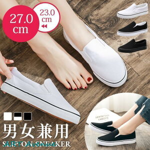 Xb| Y fB[X jp Xj[J[ V[Y C n Vv  ₷  @ ʋ ʊw oCg s