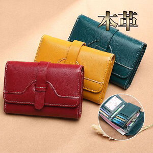 z fB[X ܂ e {v v RpNg   RC J[h D ޏ v[g TCt