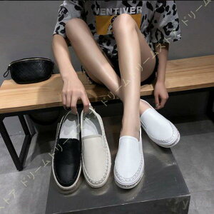 {v Xb| fB[X C ₷ Xj[J[ tďH~ TChSA Ȃ  r tbgV[Y ؂ ʋ ʊw ^C ɂȂ