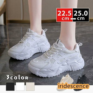 Xj[J[ fB[X EH[LO JWAV[Y nCq[ C  ʊw ʋ n X|[c CjO  t H ʋC bV