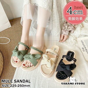 T_ fB[X ₷  T_ XgbvT_ C {~[T_ r[`؂ ₷ r l 2way JWA