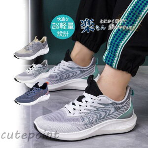 Y Xj[J[ fB[X y  ʊwC WjA JWA t@bV  I[V[Y Vv y ᔽ