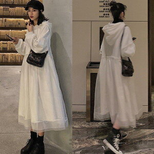 s[X fB[X H~ 40 O p[J[ Xt `[ ꂢ 傫TCY  IV  ĕ ؍ w@ 