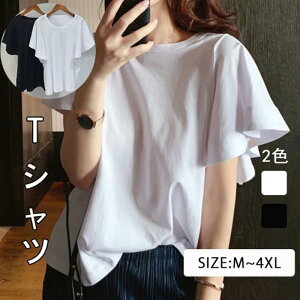 _炩ėD Vv n vI[o[ t TVc t  fB[X