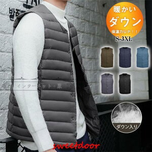 _ExXg Y fB[X Cg_E m[J[ Ȃ W Ci[_E H y g  h