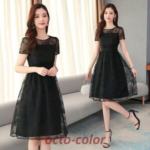 s[X fB[X 40 }LVs[X t s[X aCXJ[g  G hX ؍ IV ̌^Jo[ o l i