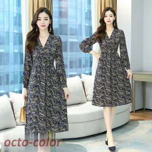 ~fBAs[X s[X fB[X VlbN  GKg g VlbN JWAs[X ؍t@bV 傫TCY  HV