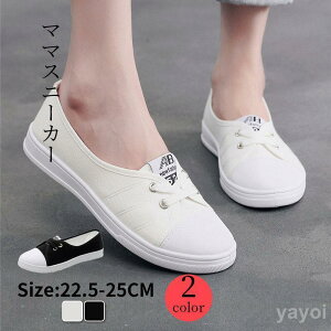 Xj[J[ fB[X  ؂  tbg}} Vv JWAy Ȃ o s  v[g a JCC